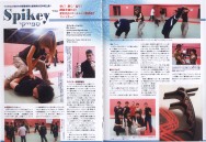 Spikey Japan Article