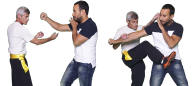 self defense techniques by sifu - Tapir Tal